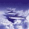 flying fishes