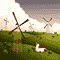 windmill